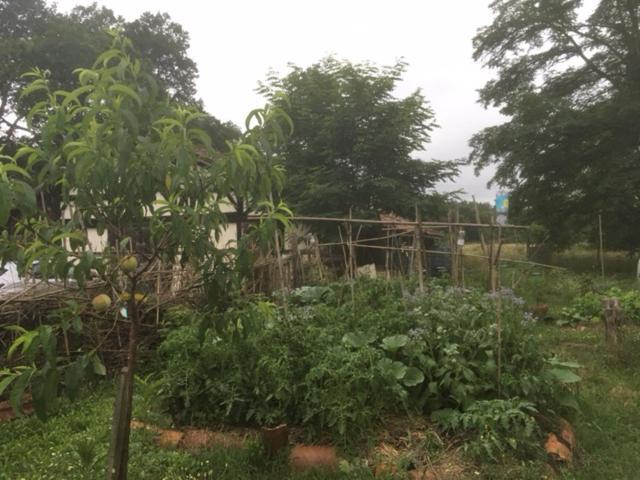 LesgorXibouette住宿加早餐旅馆 外观 照片