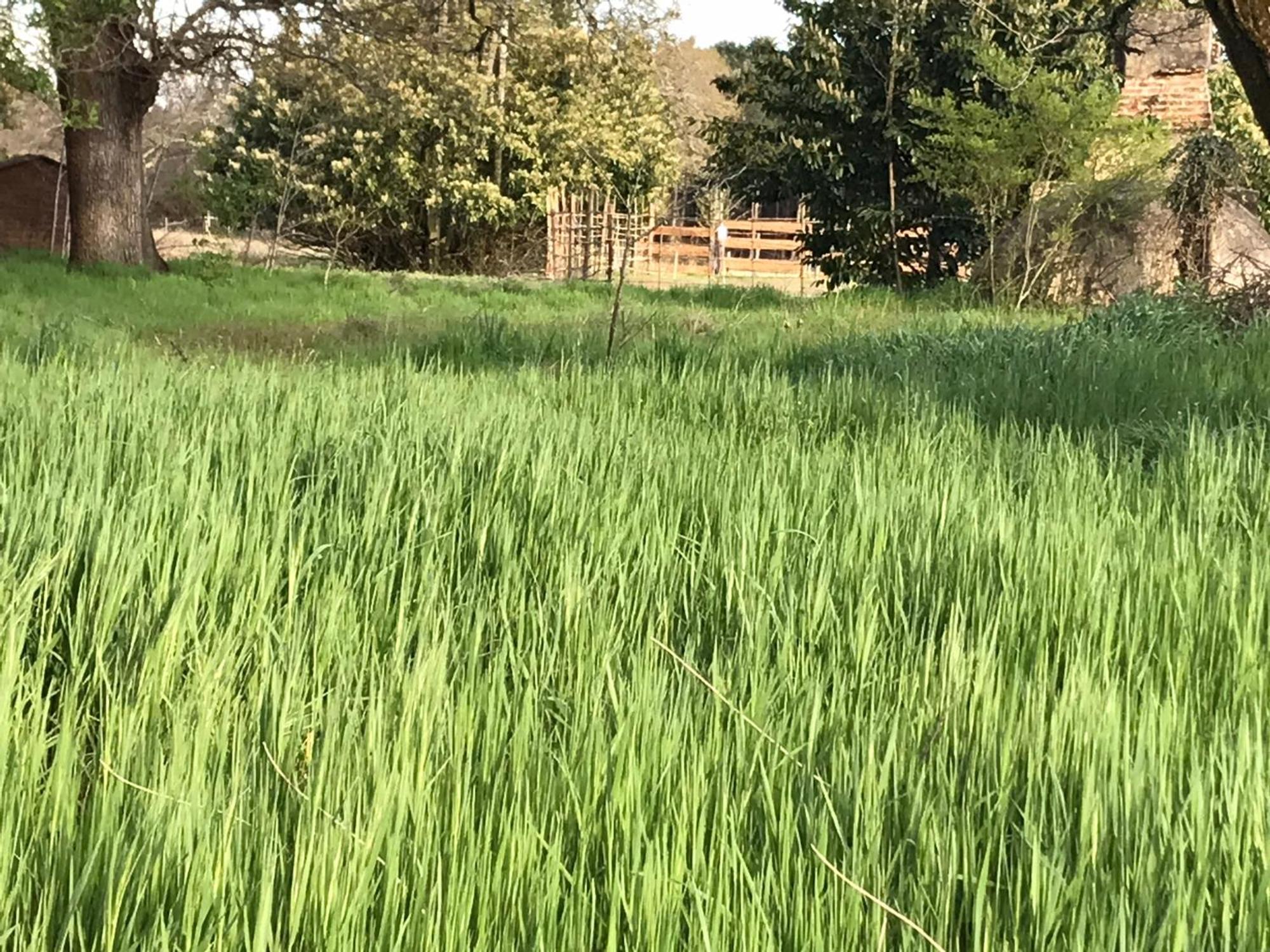 LesgorXibouette住宿加早餐旅馆 外观 照片